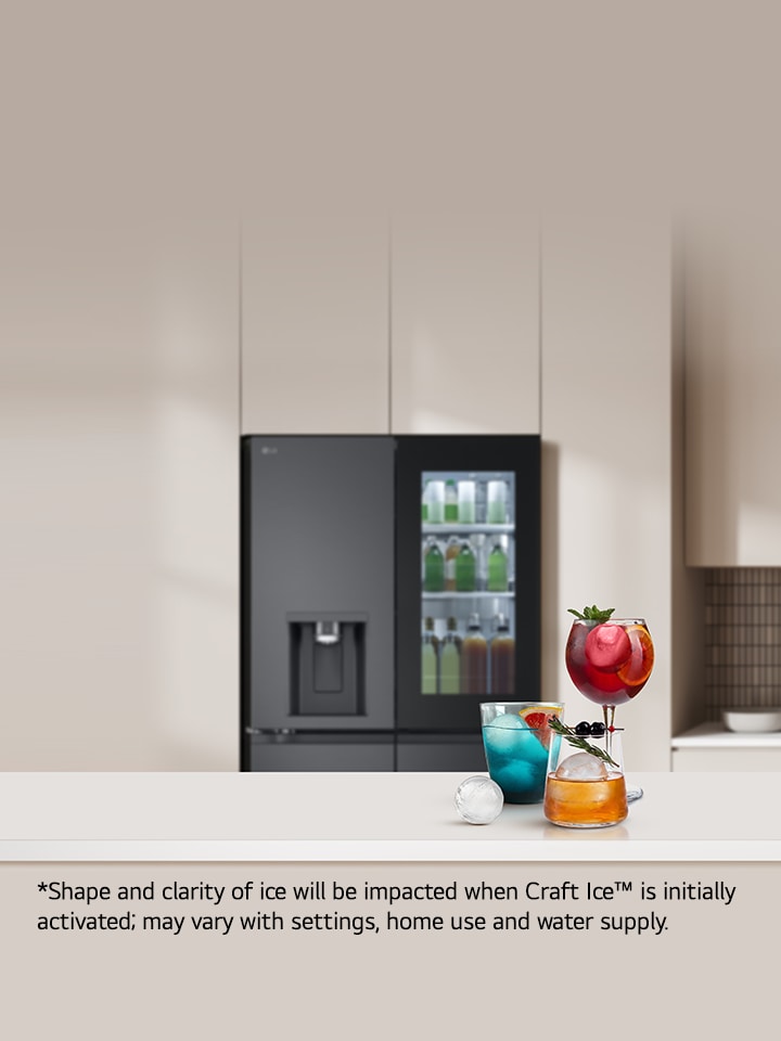 Craft Ice Maker